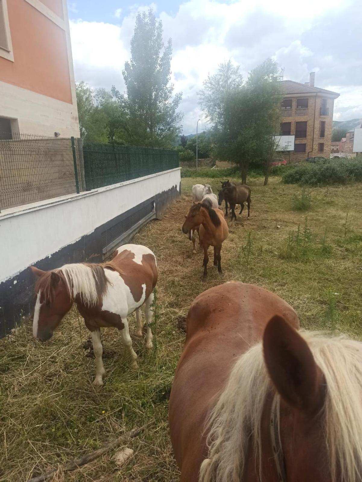 Alojamiento Fiordos Leoneses 博尼亚尔 外观 照片